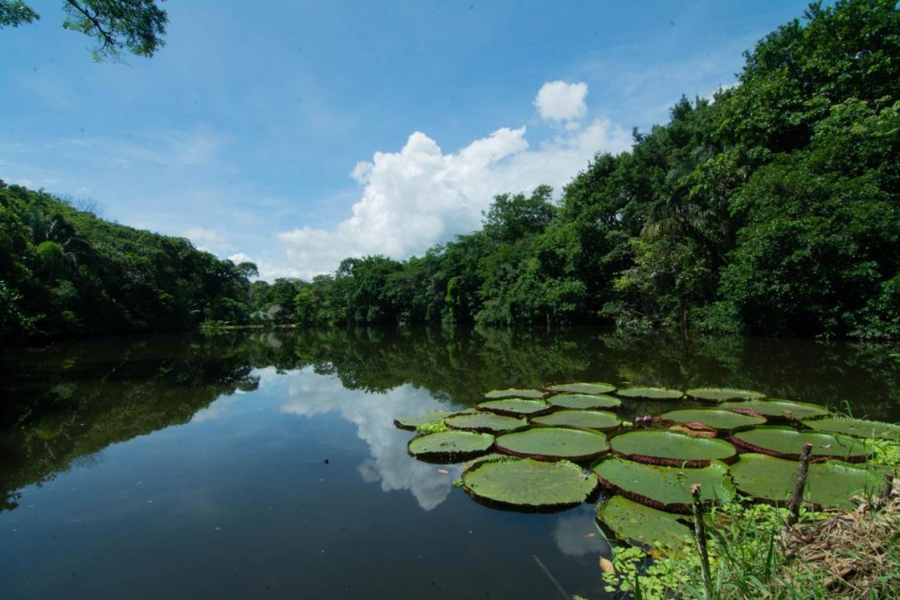 Los Chocuacos. Guácimo Exterior foto